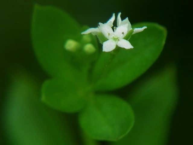 �L�N���O��