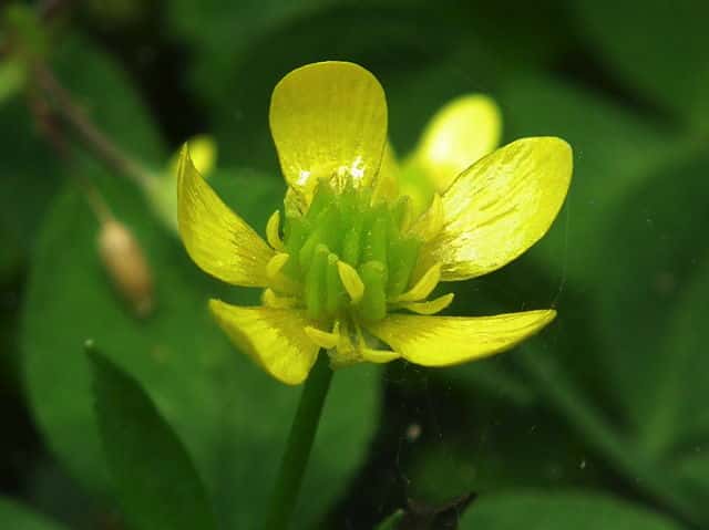 �g�Q�~�m�L�c�l�m�{�^��