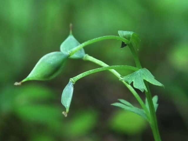 ���}�G���S�T�N