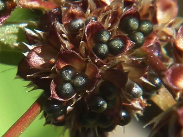 �X�Y���m����