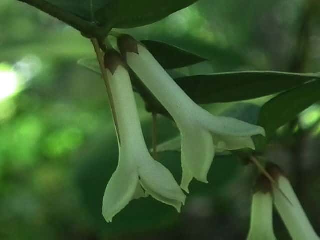 �I�I�A���h�I�V