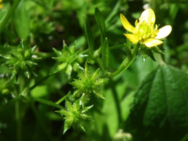 �g�Q�~�m�L�c�l�m�{�^��