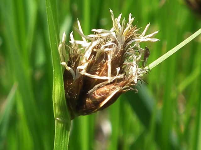 �R�E�L���K��