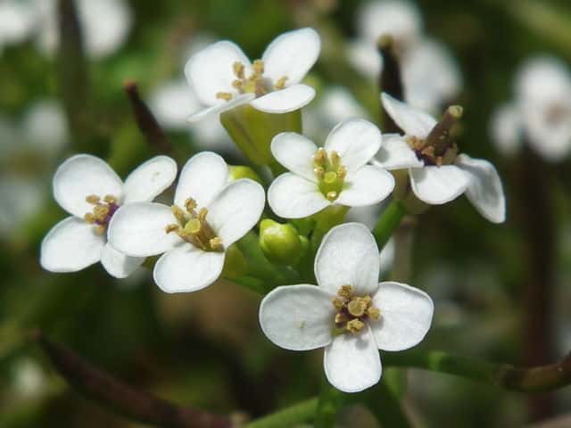 �I�����_�K���V