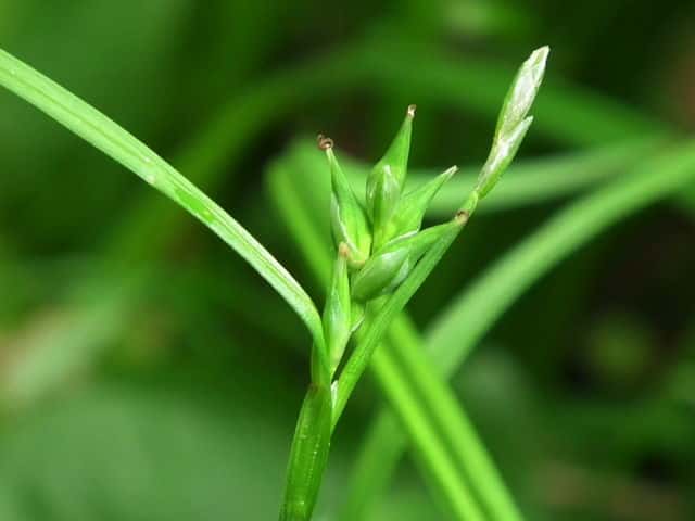 �R�W���Y�X�Q