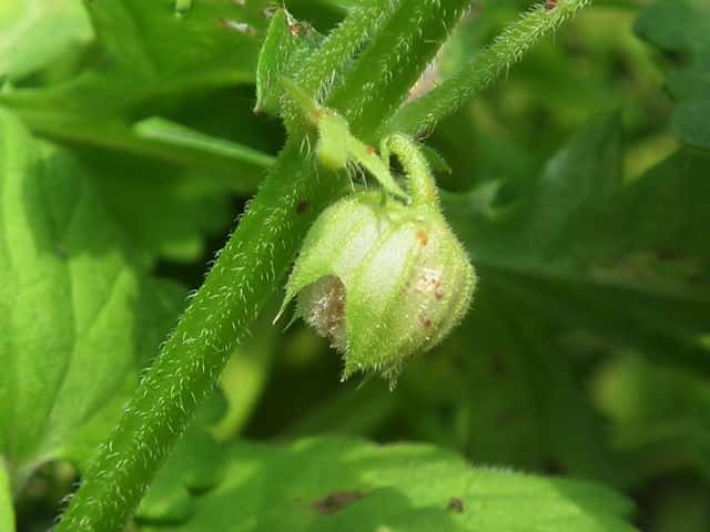 �J�L�h�I�V�c�{�~�t�N���t�V