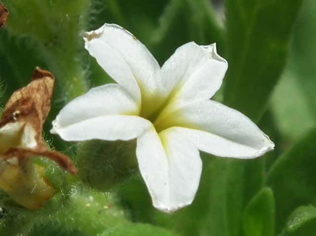 �X�i�r�L�\�E