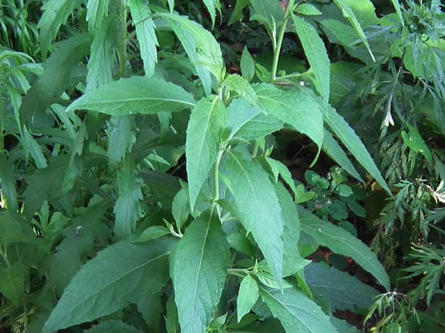 �R���u�^�o�R