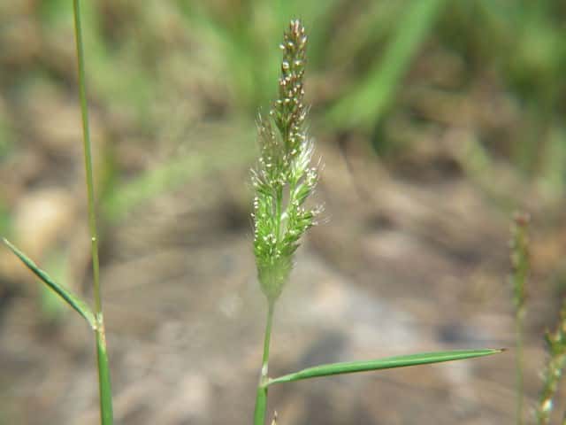 �q�G�K�G��