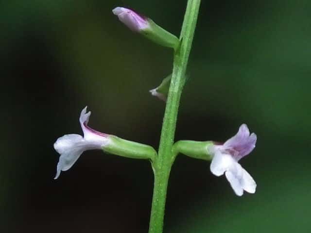 �i�K�o�n�G�h�N�\�E