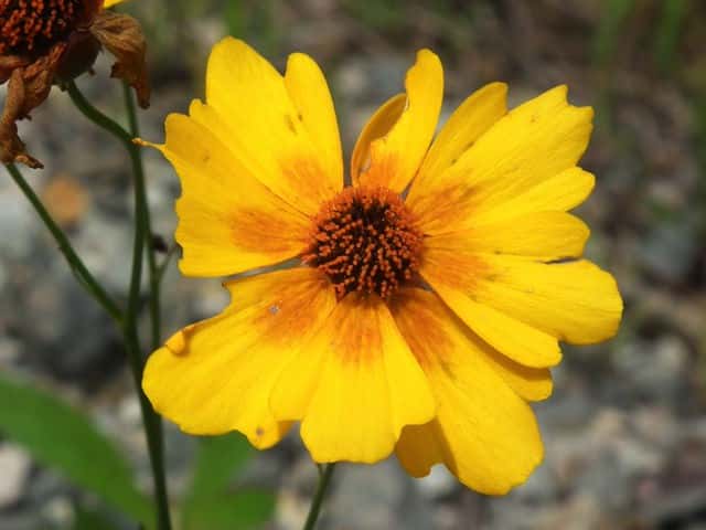 �n���V���M�N