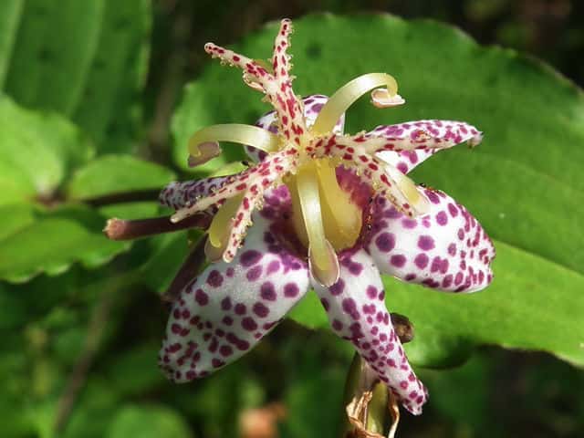 ���}�W�m�z�g�g�M�X