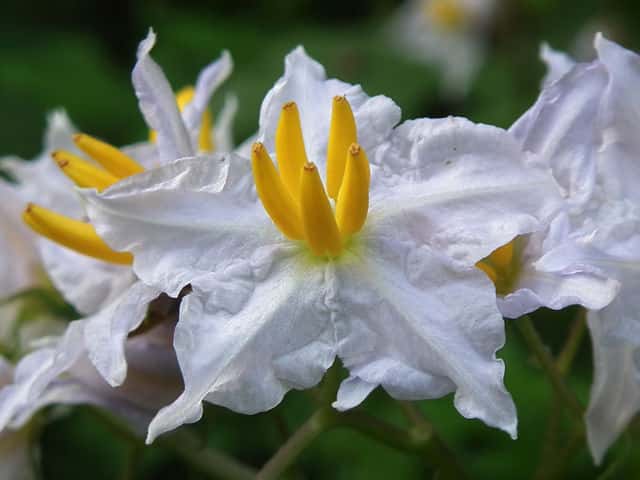 �����i�X�r