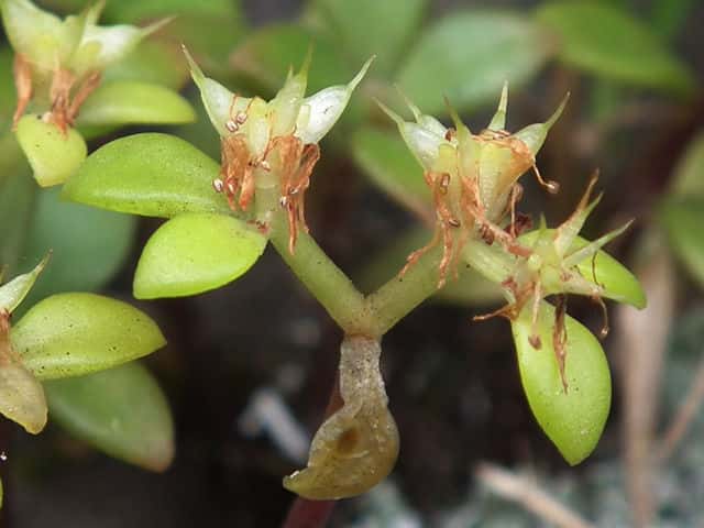 �}���o�}���l���O�T