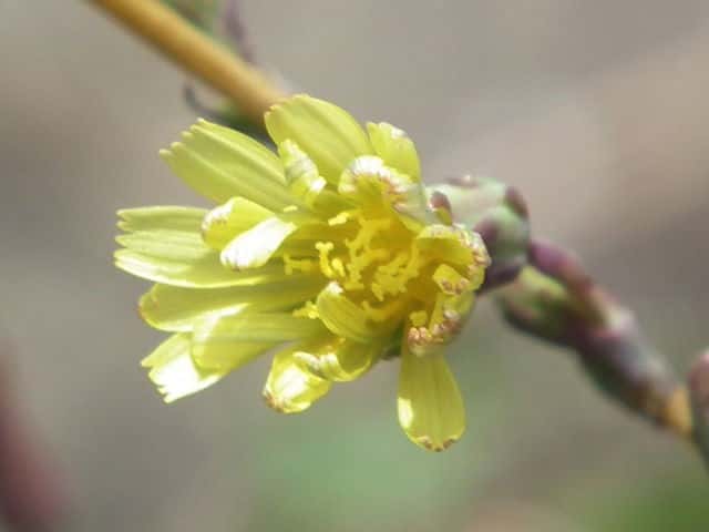 �g�Q�`�V��