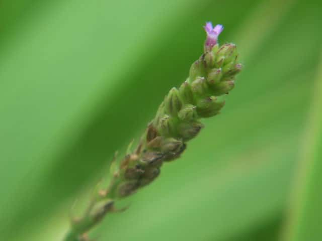 �n�}�N�}�c�d��