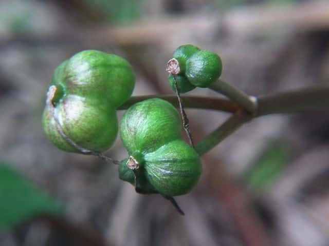 �L�c�l�m�J�~�\��