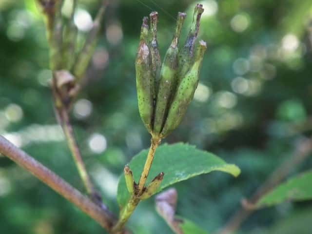 �^�j�E�c�M