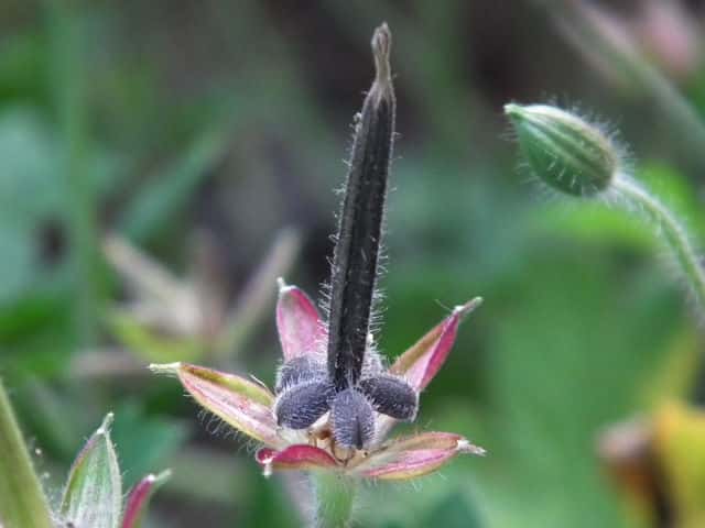 �Q���m�V���E�R