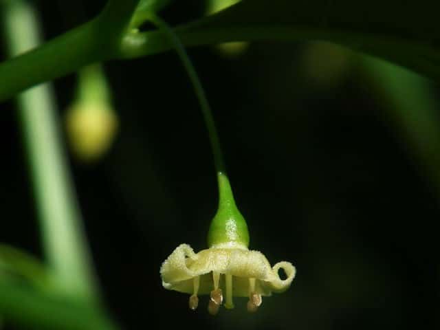 �n�_�J�z�I�Y�L