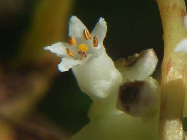 �l�i�V�J�Y��