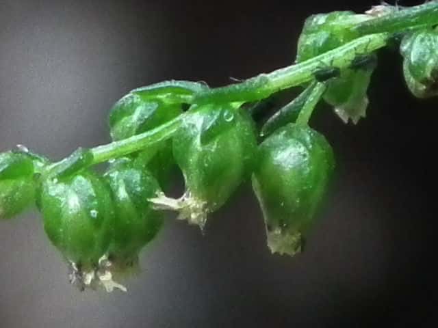 �J���������M