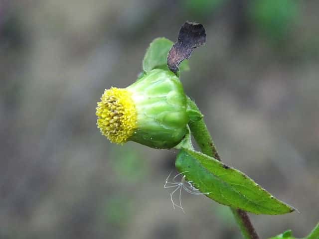 �K���N�r�\�E