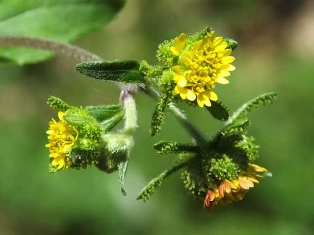 �R���i���~