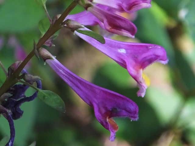 �~���}�}�}�R�i