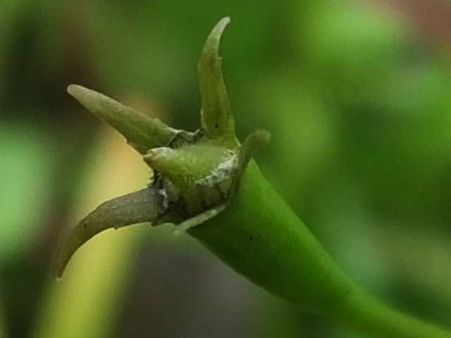 �~�]�J�N�V