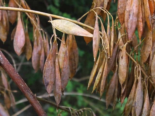 �^�P�j�O�T