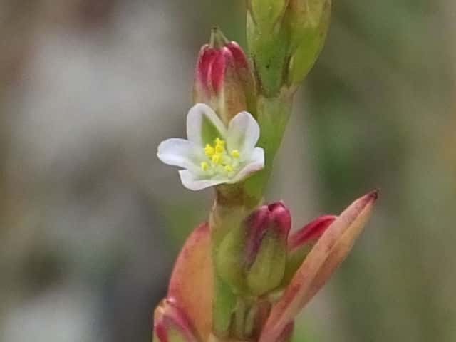 �A�L�m�~�`���i�M