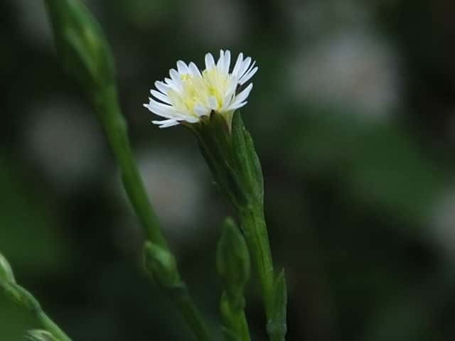 �z�E�L�M�N