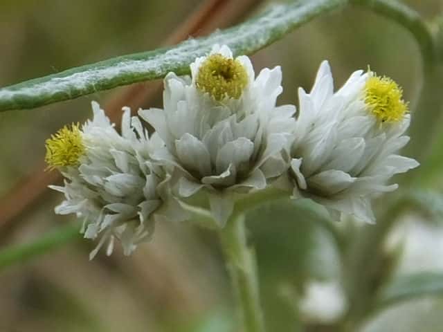 �J�����n�n�R