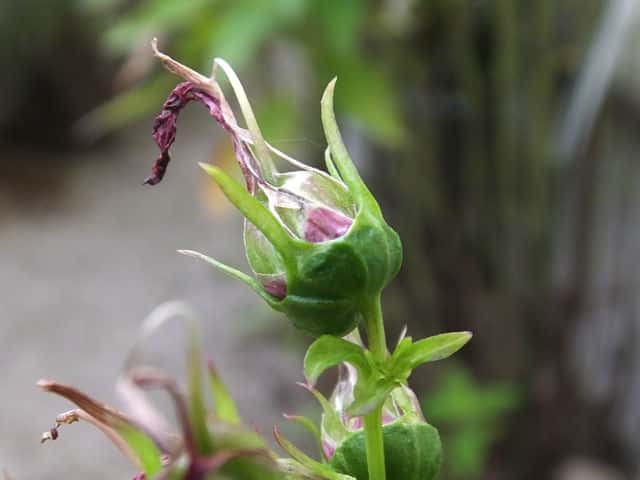 �x�j�o�i�T���M�L���E