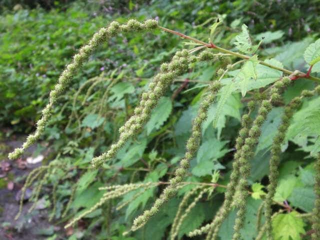 �����u�}�I