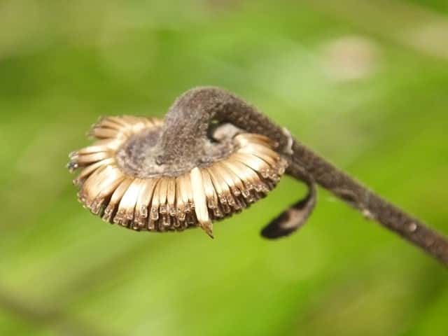 �R���u�^�o�R