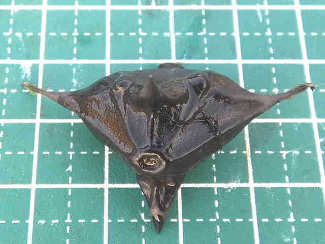 �R�I�j�r�V