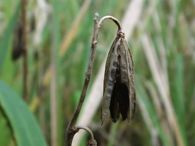 �R�o�M�{�E�V