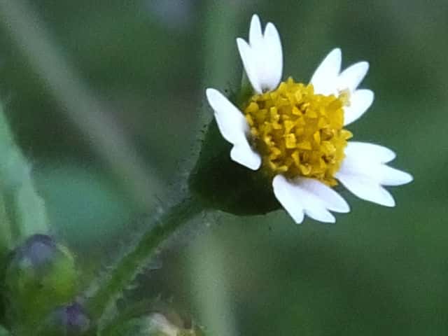 �n�L�_���M�N