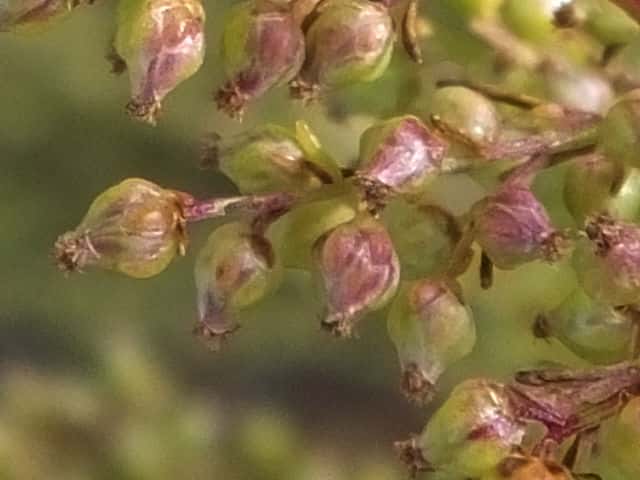 �J���������M