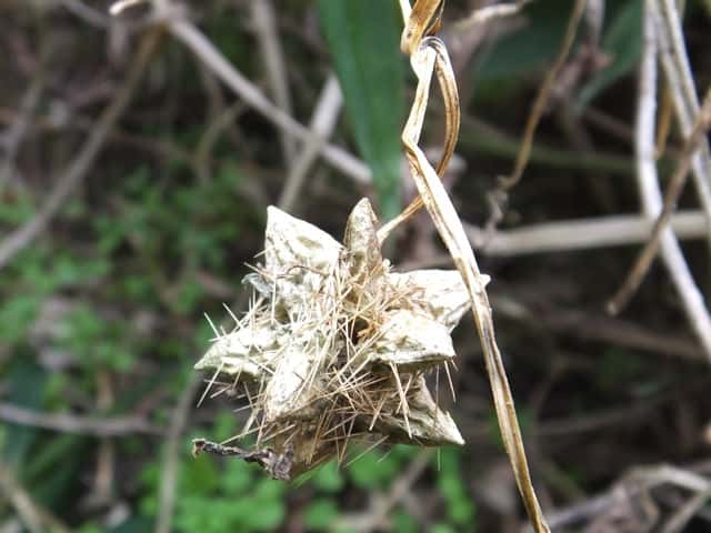 �A���`�E��