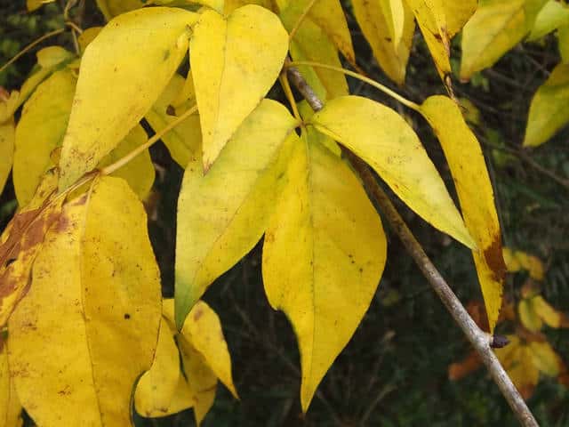 �^�J�m�c��