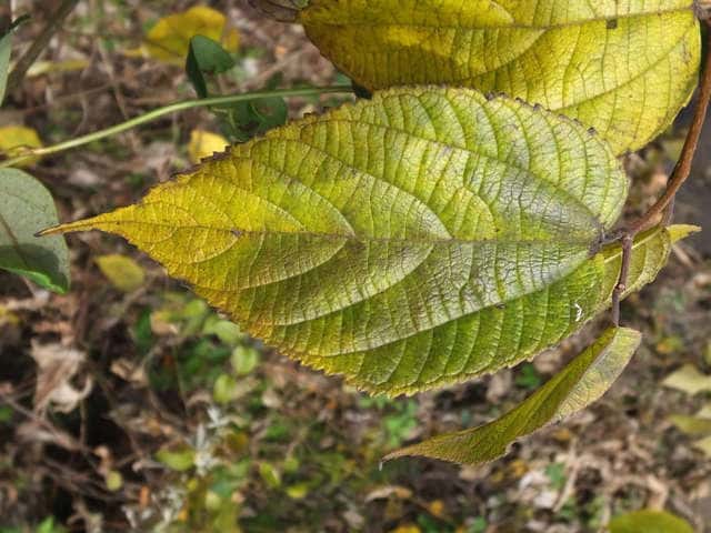 �q���R�E�]