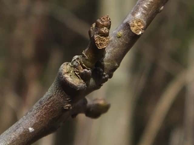 �^�}�~�Y�L