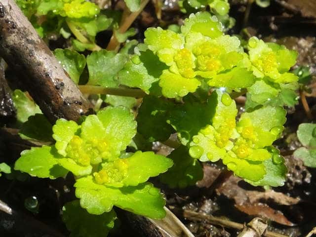 �l�R�m���\�E