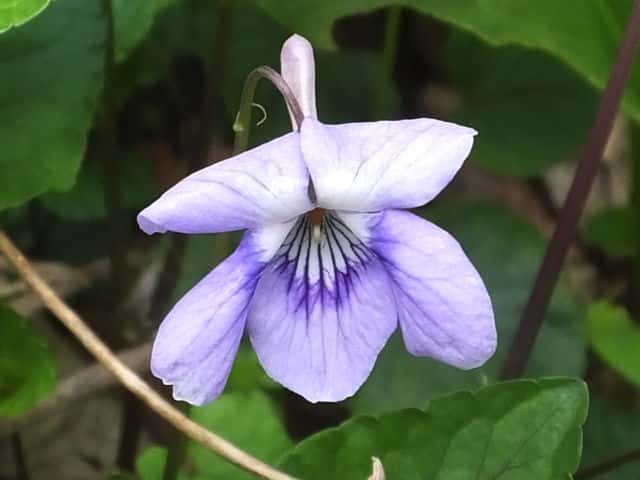 �����J�~�^�`�c�{�X�~��