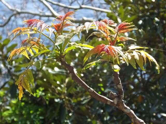 �j���E���V