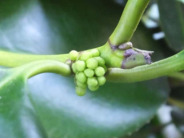 �^�����E