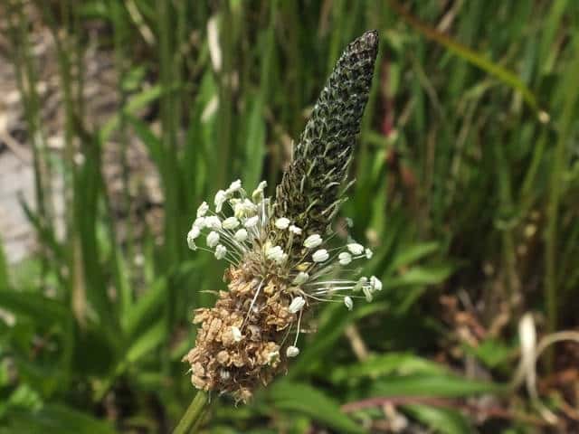 �w���I�I�o�R